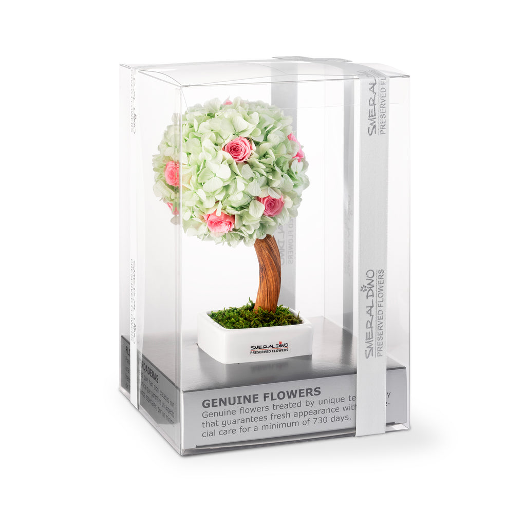 Stromek Gold Hydrangea