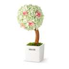 Stromek Gold Hydrangea