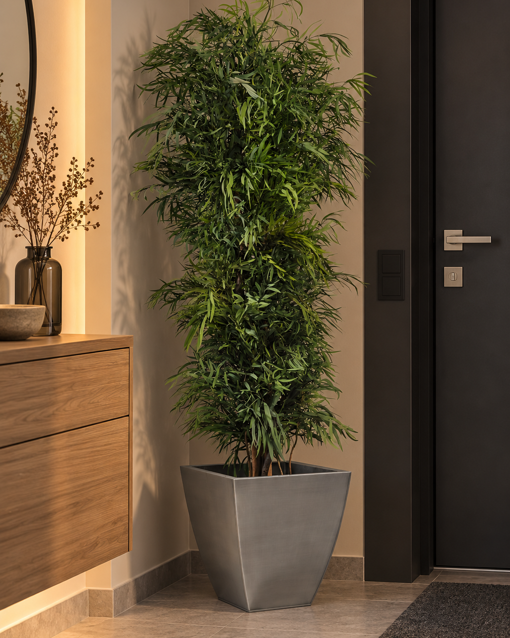 Slim Nicoly tree
