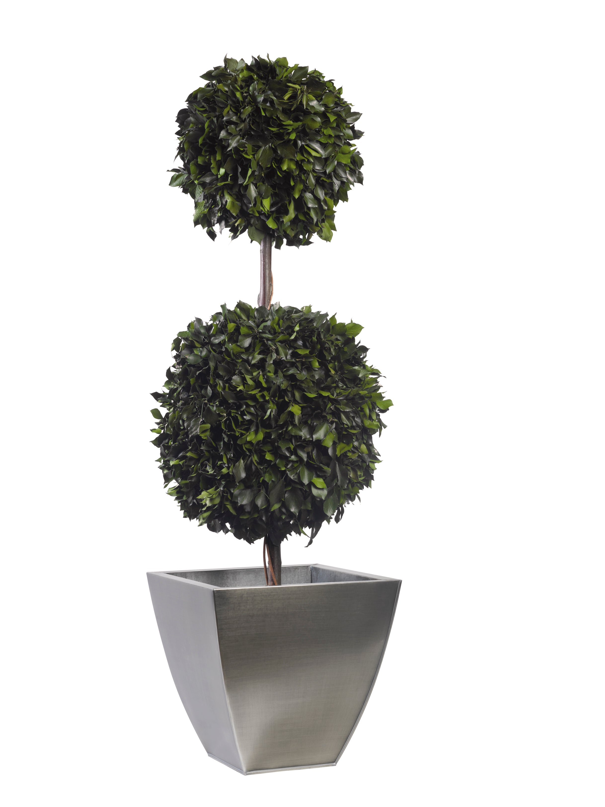 Double Topiary Ivy sphere
