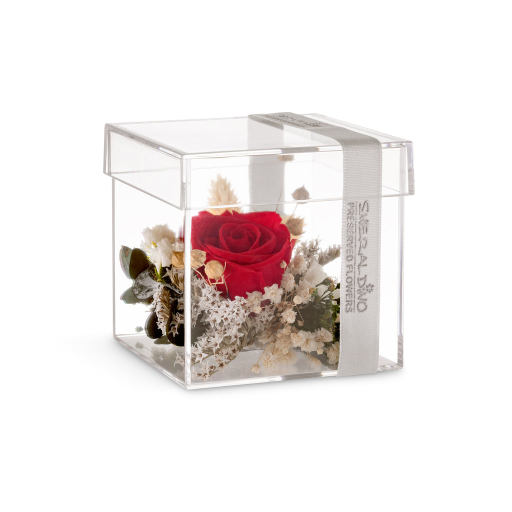Cube mini