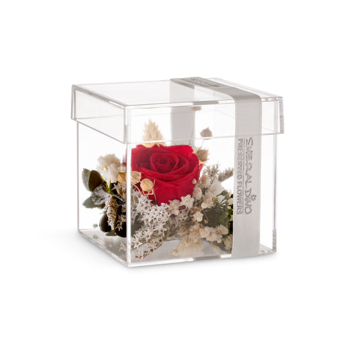 Cube mini