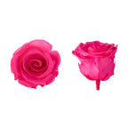 Standard Rose Heads