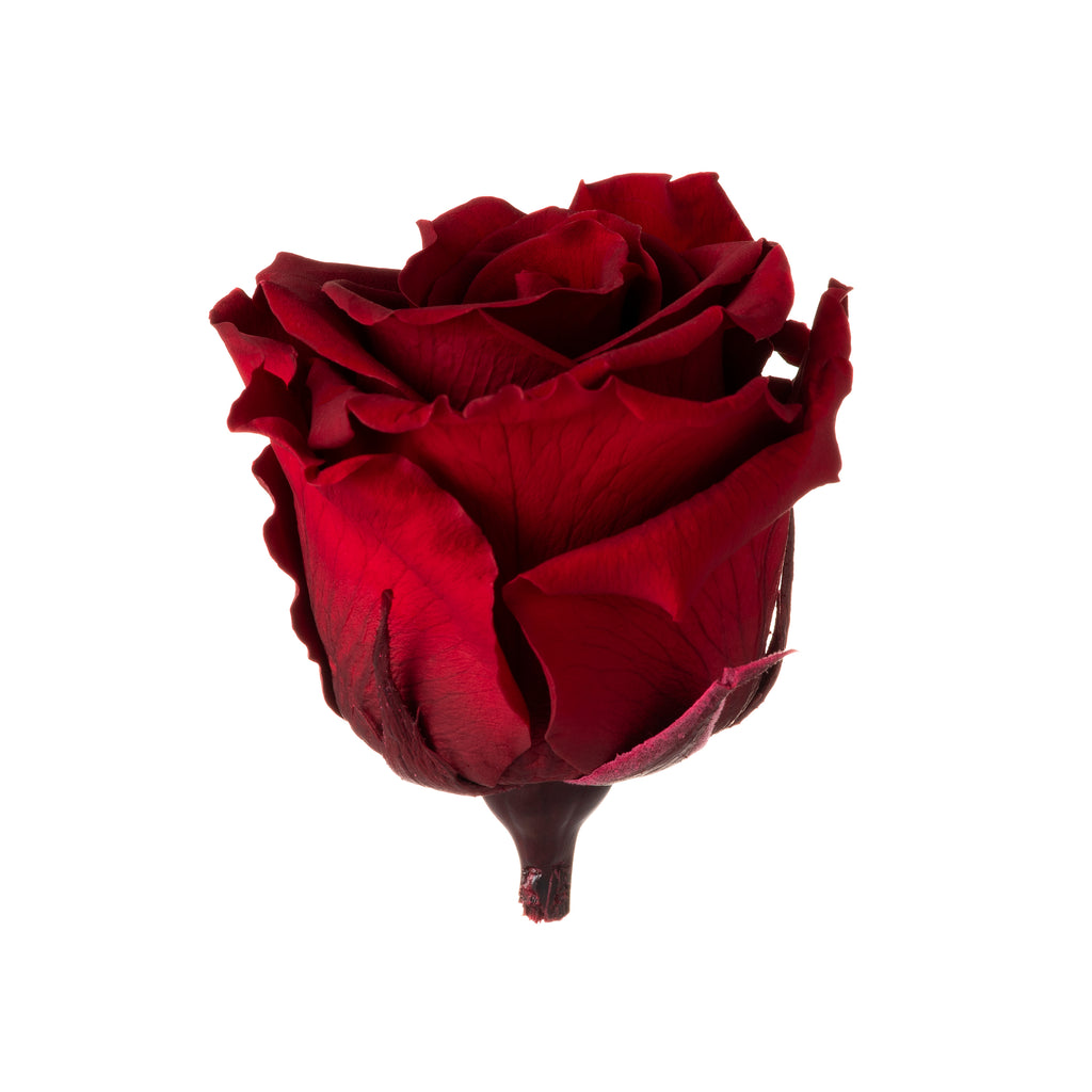 Mini rose heads