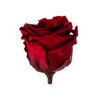 Mini rose heads