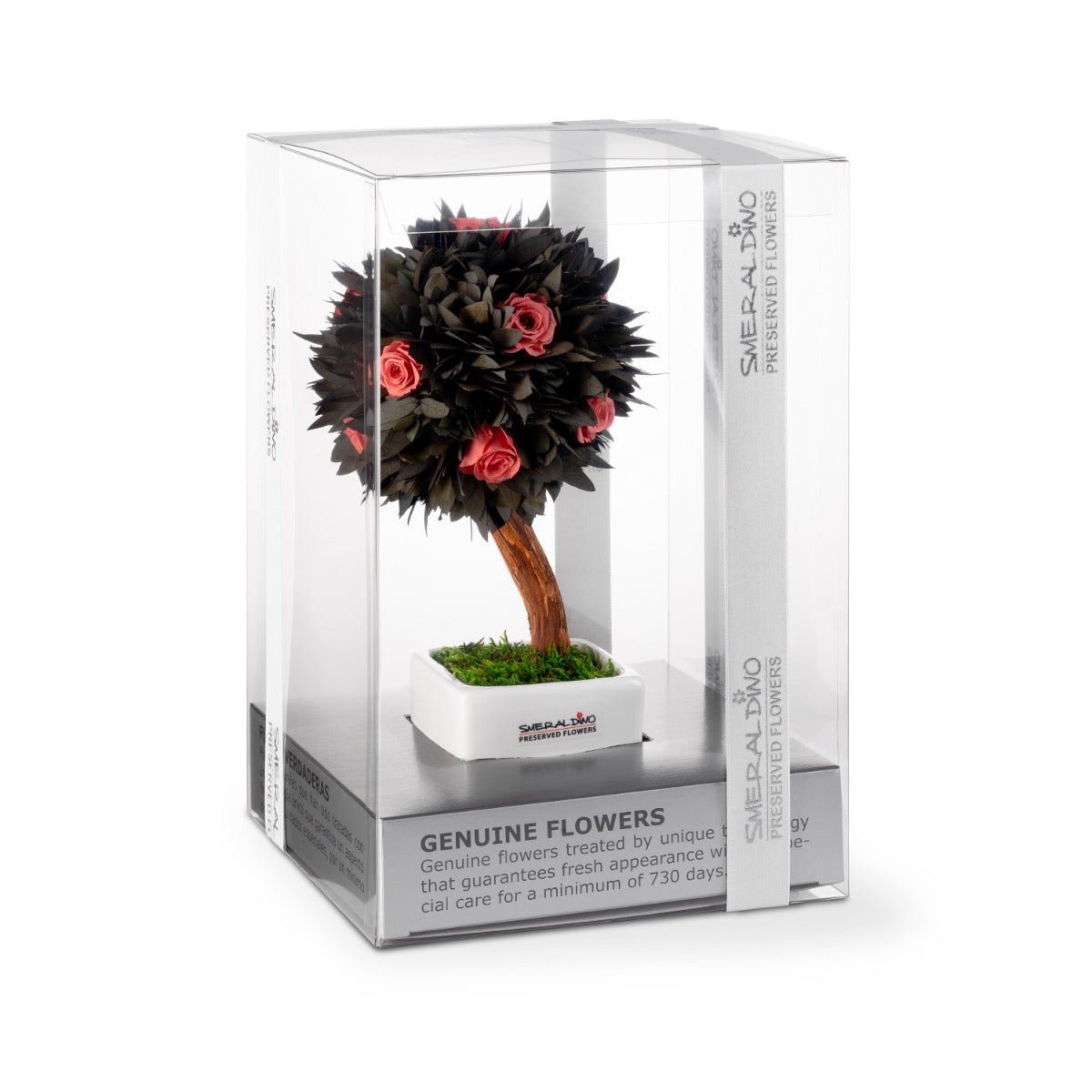 Stromek Gold Parvifolia