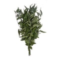 Wild Eucalyptus Bulk