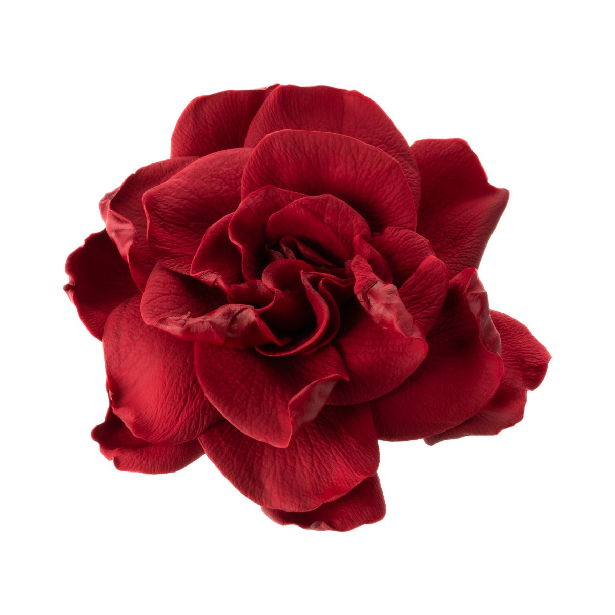 Gardenia