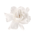 Gardenia