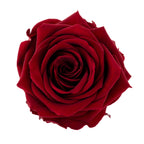 Premium Rose Heads