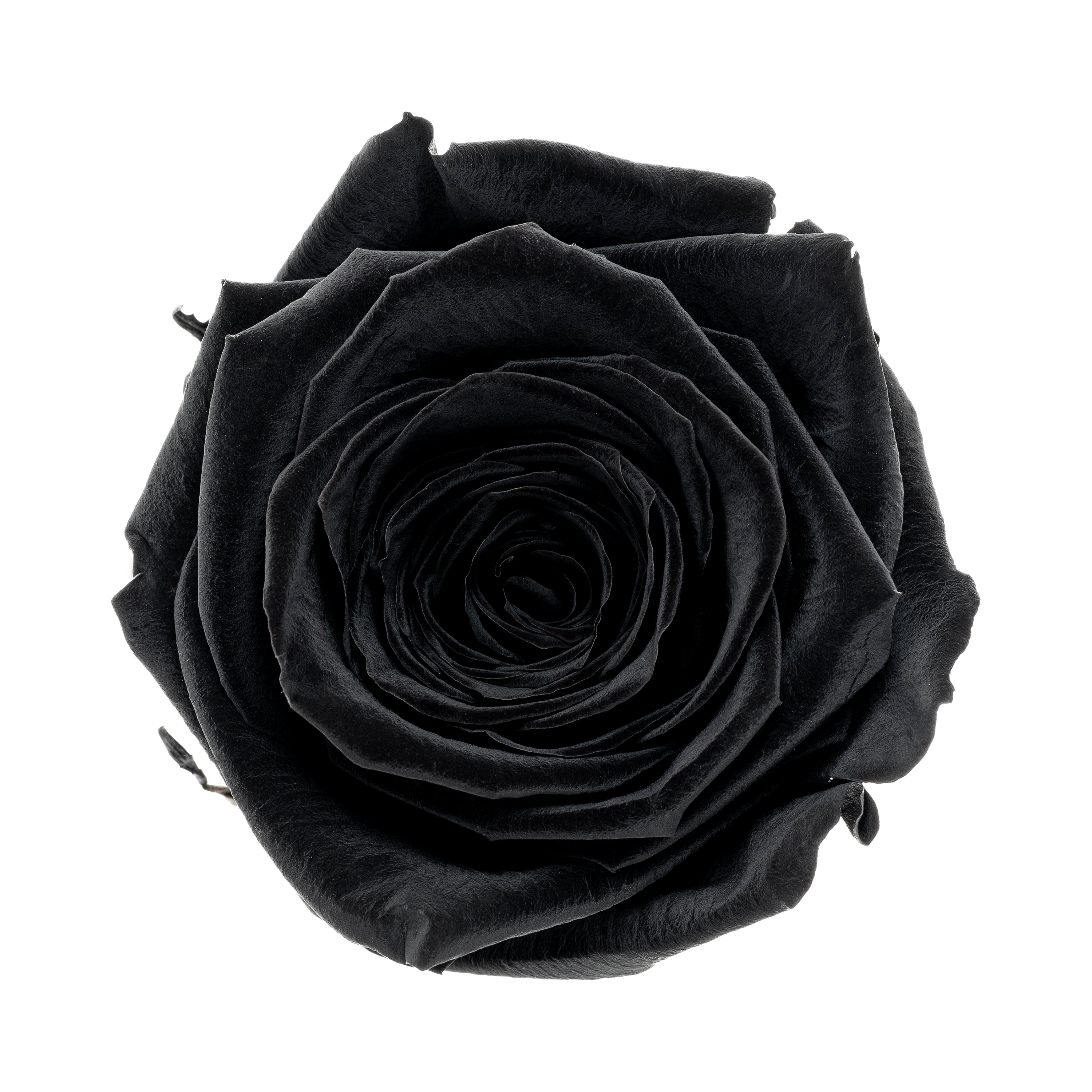 Mini rose heads