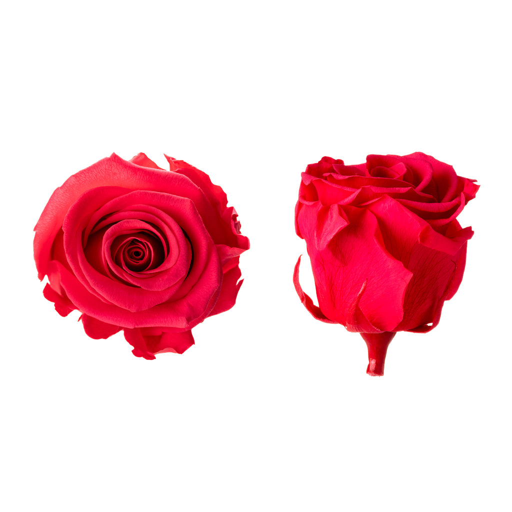 Princess rose heads