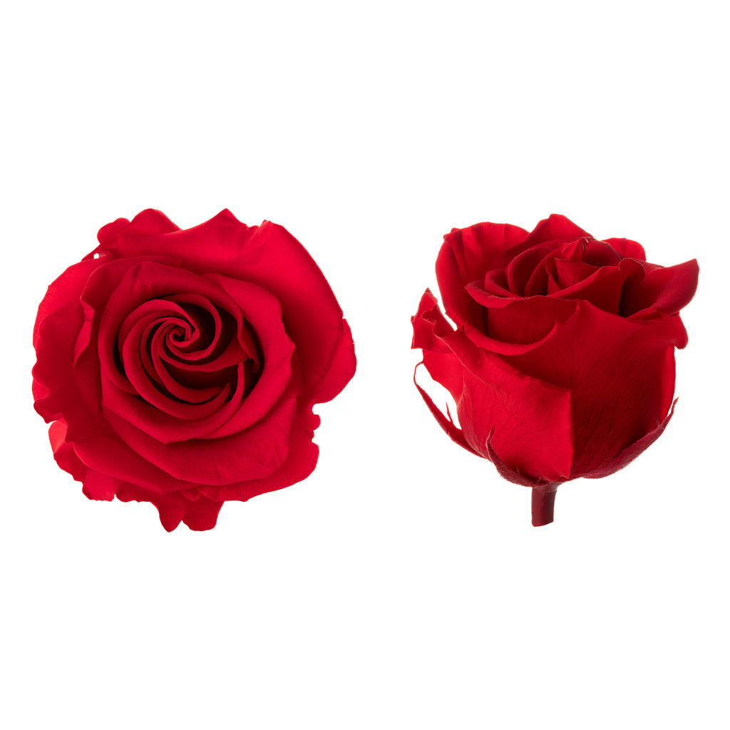 Princess rose heads
