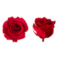 Princess rose heads