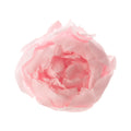 Peony