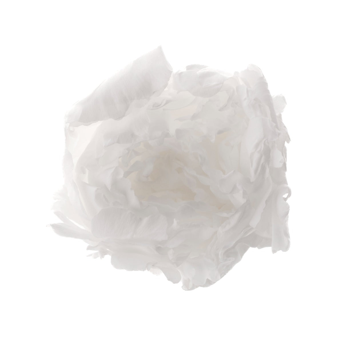 Peony