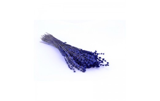 Lavender natural - LVE 0820
