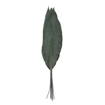 Tropical leaf