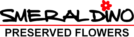 smeraldino logo